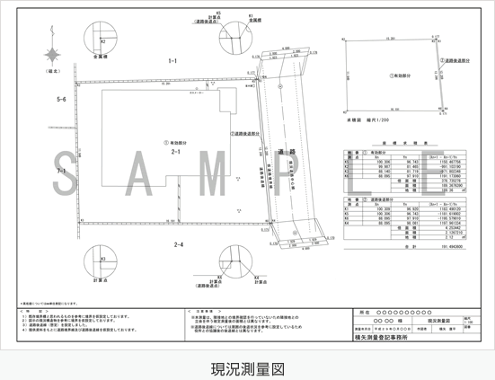 作成図書：現況測量図